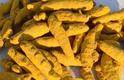 Turmeric Fingers